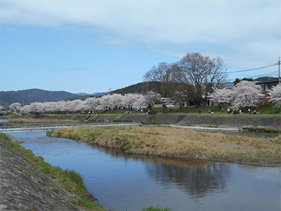 春風の速さにとても追いつけぬわが車椅子 倉地よね