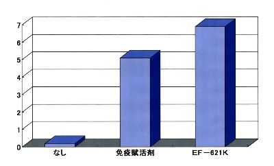 ダイヤキング6K