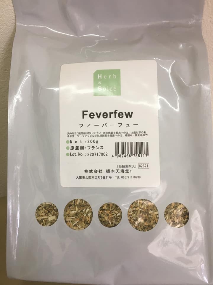Feverfew：フィーバーフュー　夏白菊：ナツシロギク